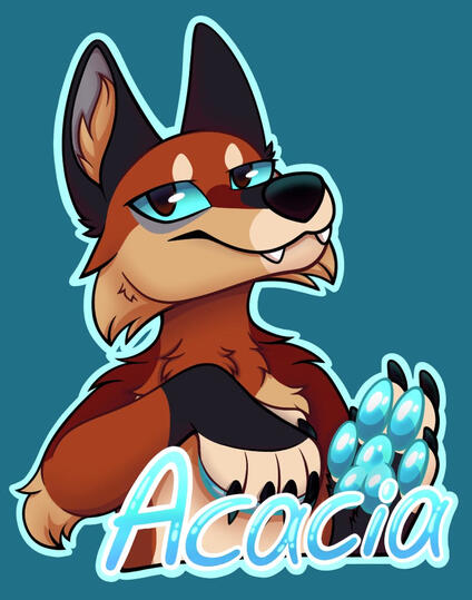 Acacia Acacia